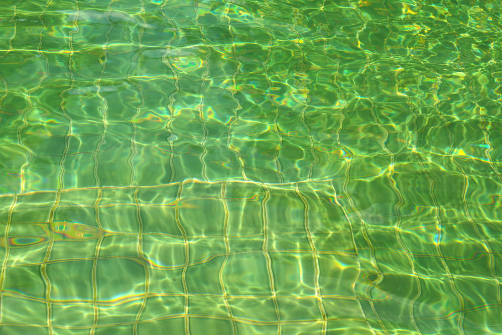 How to Remove Green Algae from Your Pool