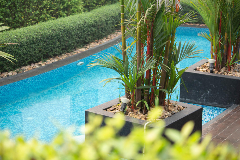 Transform Your Backyard Oasis with Expert Pool Remodeling & Landscaping Tips