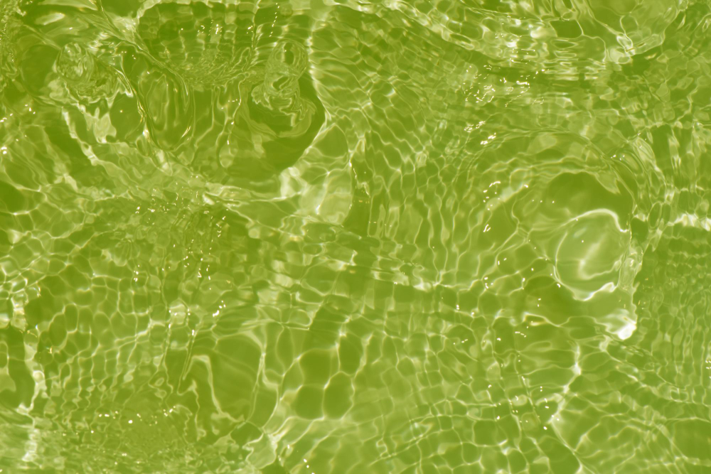 How to Remove Green Algae from Your Pool